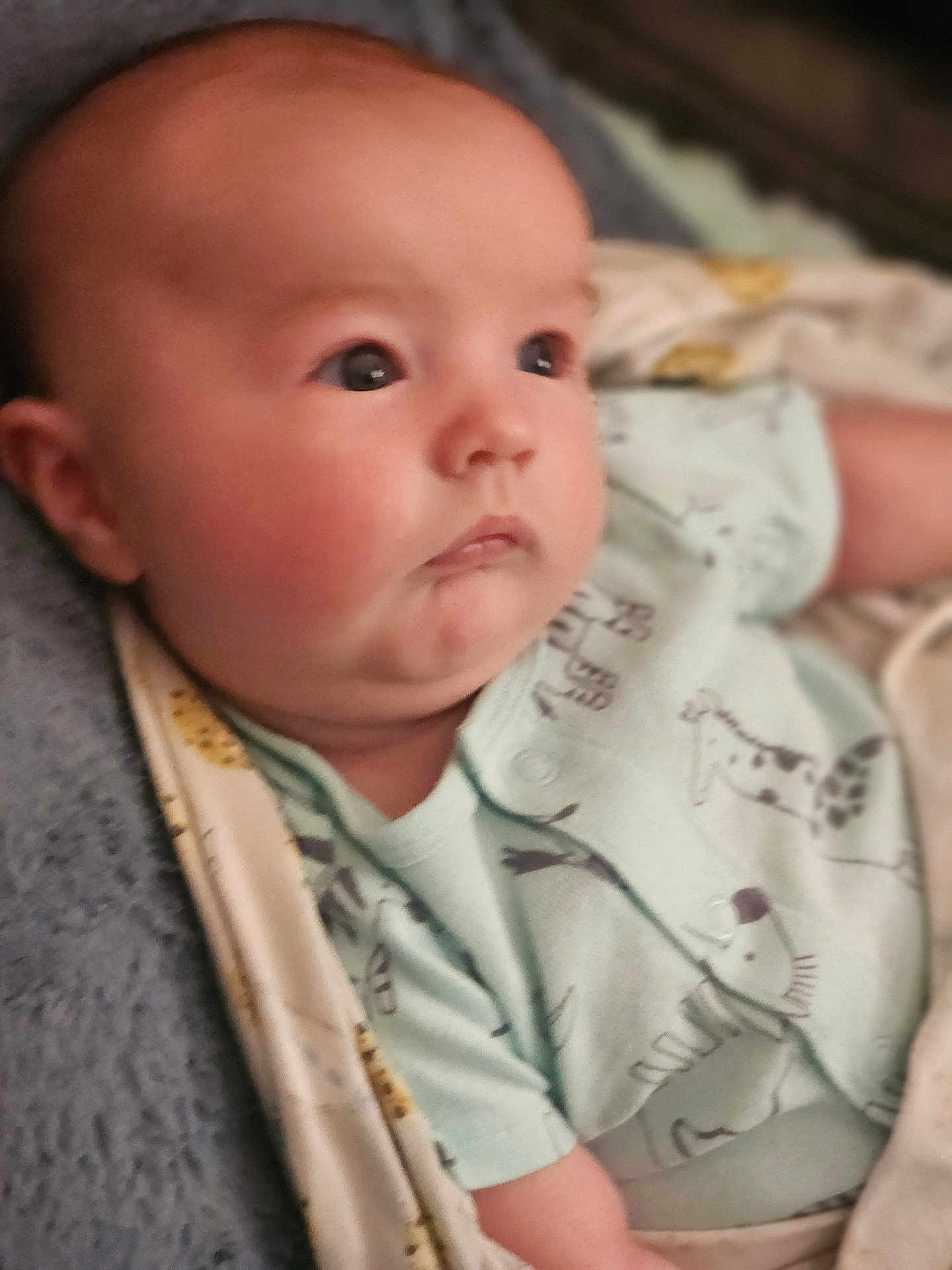Mason is registered to the contest to win money with this photo: baby, infant, face, chubby_cheeks, onesie, animal_prints, blanket, soft, cute, portrait, newborn, sleepwear, skin, head, lying_down, child, indoors, young, expression, curious