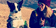 Jampa participe au concours pour gagner de l'argent avec cette photo : dog, person, outdoor, table, bottle, water_bottle, sunglasses, hat, pointing, harness, grass, hill, fence, daylight, casual, relaxed, picnic, nature, friendship, leisure