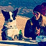 dog, person, outdoor, table, bottle, water_bottle, sunglasses, hat, pointing, harness, grass, hill, fence, daylight, casual, relaxed, picnic, nature, friendship, leisure