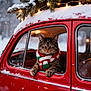 animal, cat, christmas, cozy, decoration, fairy_lights, festive, holiday, outdoor, pet, pine_branches, red_car, scarf, seasonal, snow, snowy, tabby_cat, vintage_car, window, winter