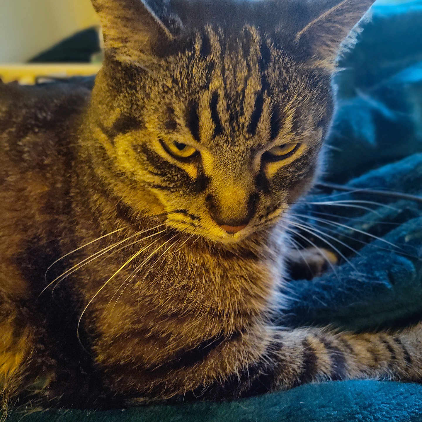 Weezie