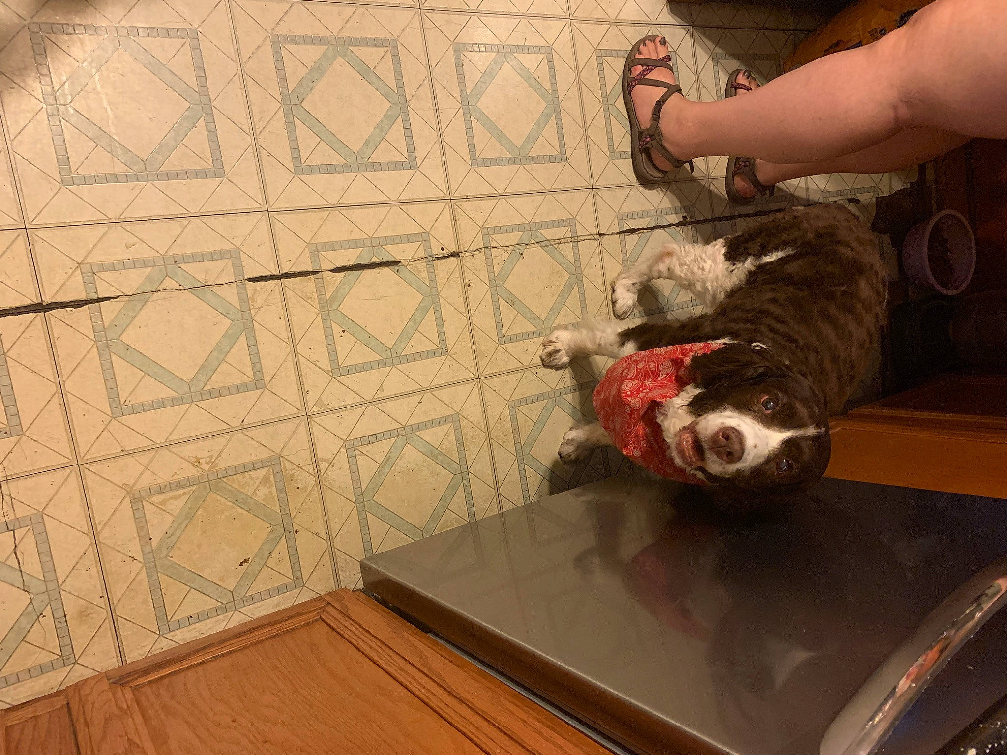 Pheobe is registered to the contest to win money with this photo: floor, flooring, hardwood, laminate_flooring, room, tile, wood