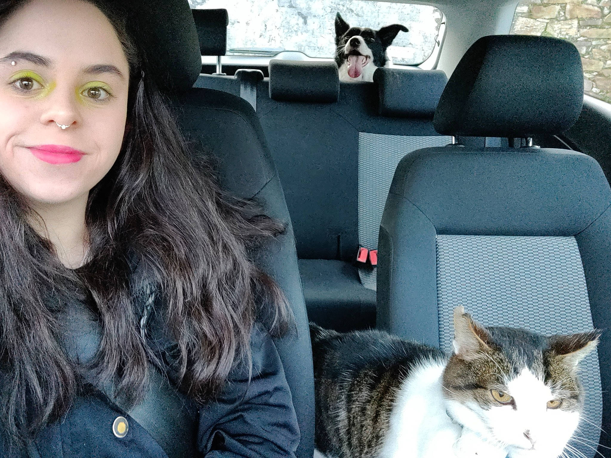 Laddie is registered to the contest to win money with this photo: auto_part, automotive_design, automotive_exterior, black, car, car_seat, car_seat_cover, cat, comfort, felidae, head_restraint, lip, mammal, motor_vehicle, personal_luxury_car, photograph, steering_wheel, vehicle, vehicle_door, white