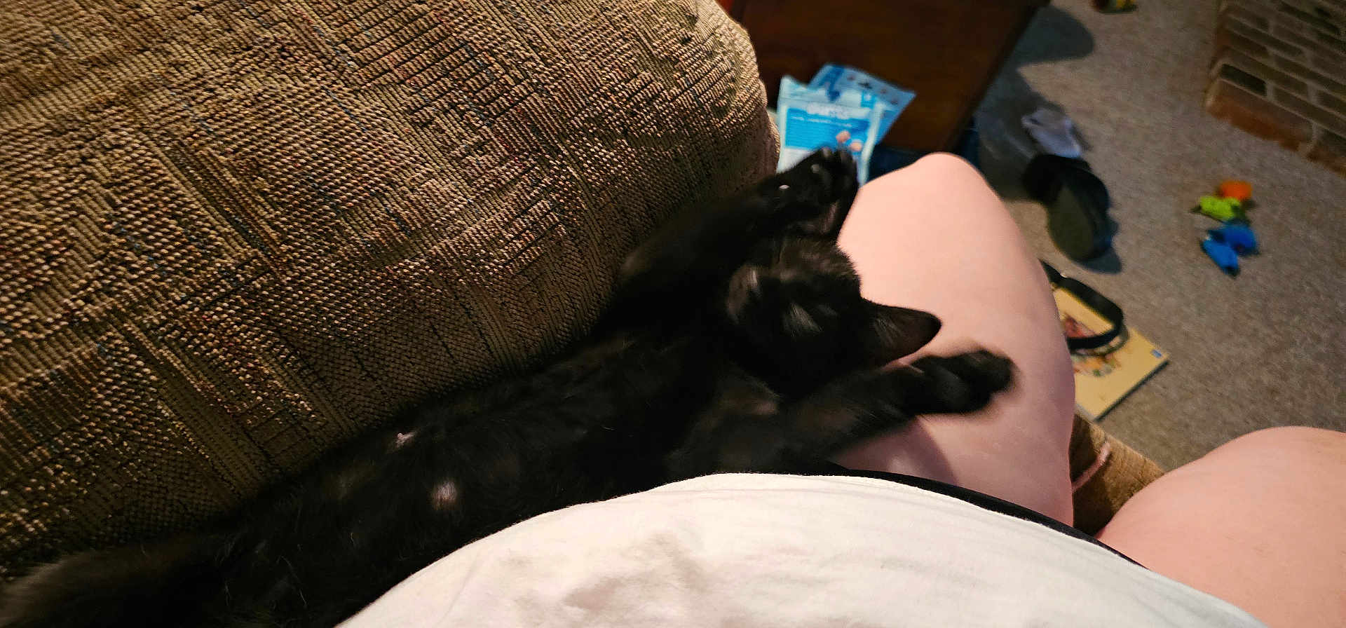 Tiny