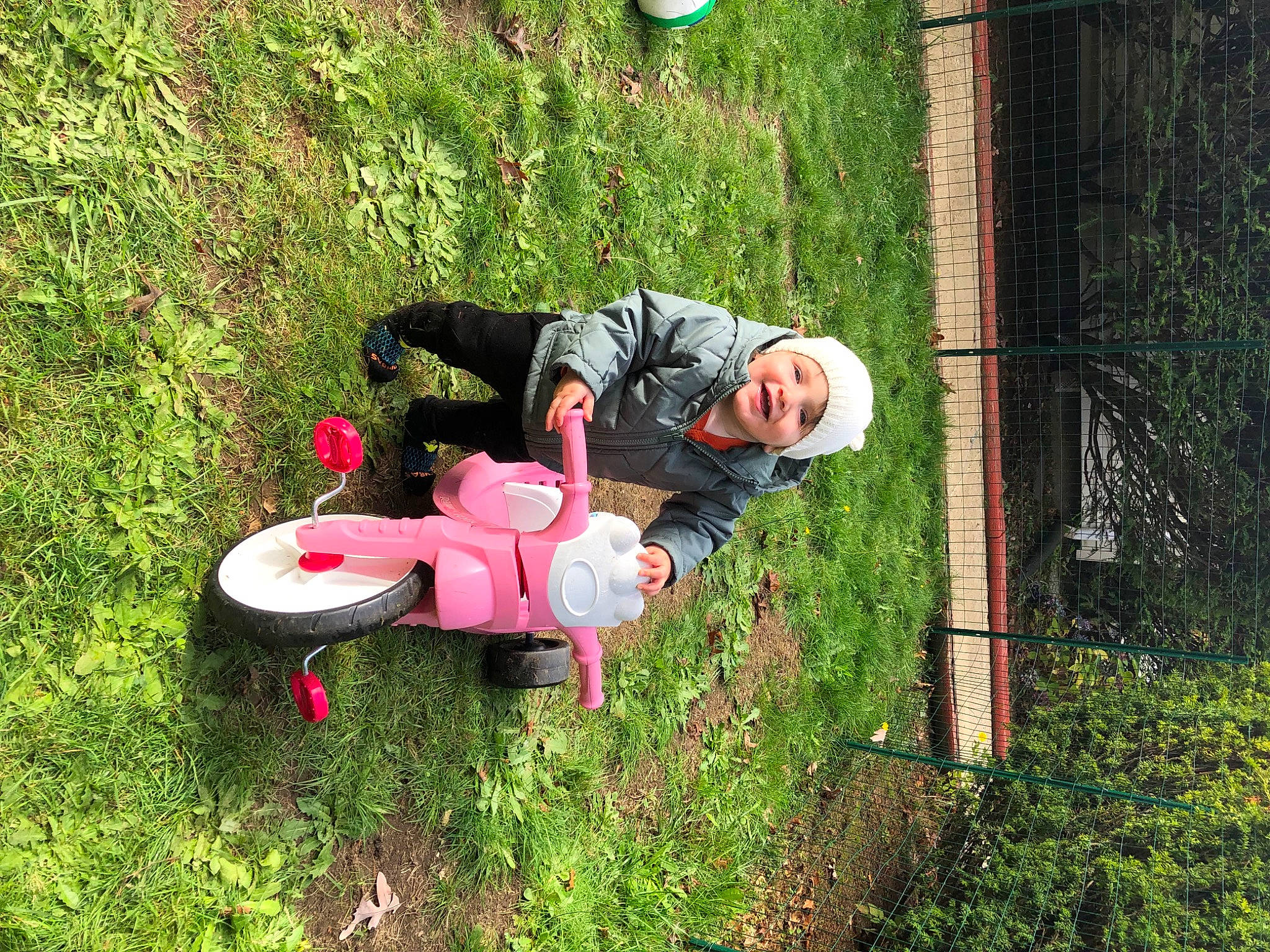 Austin is registered to the contest to win money with this photo: backyard, ball, fun, garden, grass, headwear, joy, landscape, lawn, lawn_ornament, leaf, leisure, people_in_nature, person, plant, recreation, shrub, sitting, tree, yard