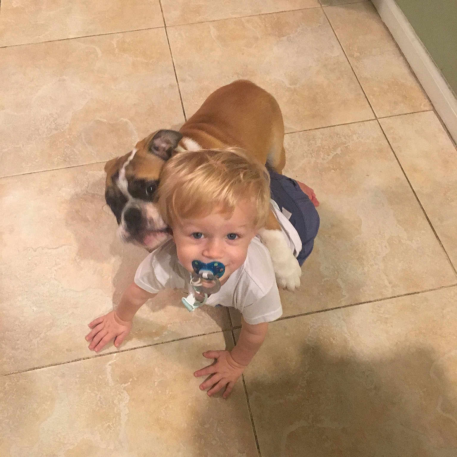 Cooper is registered to the contest to win money with this photo: baby, baby_toddler_clothing, eye, fawn, floor, flooring, fun, grass, hair, happy, hardwood, head, human_leg, laminate_flooring, sitting, smile, toddler, wood, wood_flooring, wood_stain