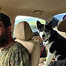 animal, backseat, beard, blue_eyes, camouflage_shirt, car_interior, dog, greenery, happy, headrest, husky, leash, man, nature, pet, road_trip, seat, tongue_out, travel, window