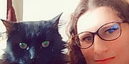 Felix a rejoint le concours — aidez-le/la à gagner de superbes lots ! animal, black_cat, cat, closeup, companion, cozy, curly_hair, cute, feline, friendly, furry, glasses, home, indoor, person, pet, portrait, relaxed, smile, soft_light