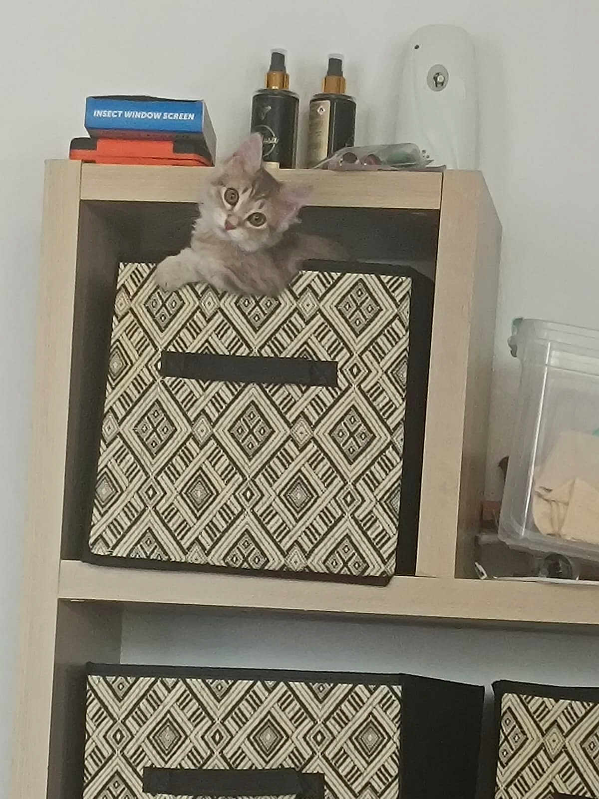 Nala