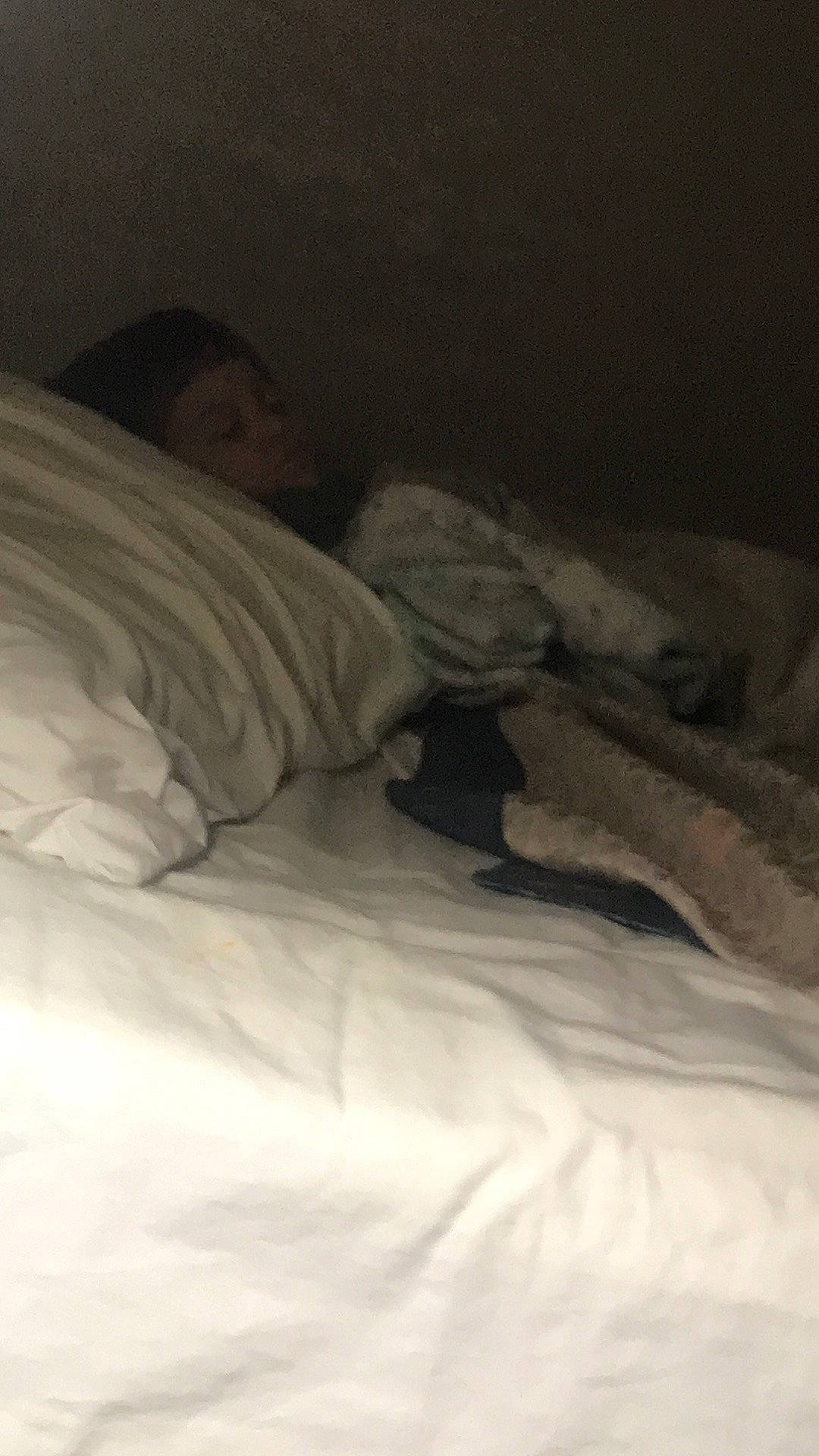 Timothy joined the competition — help win amazing prizes! bed, bed_sheet, bedding, bedroom, comfort, furniture, linens, mattress, nap, person, pillow, room, sleep, textile, under_exposed