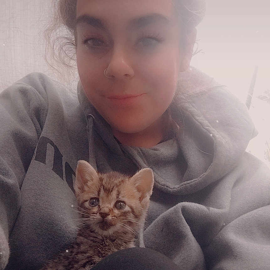 Oliver joined the competition — help win amazing prizes! person, kitten, cat, hoodie, indoor, portrait, cute, cozy, casual, young_adult, smile, hair_up, sitting, pet, animal, face, looking_at_camera, comfort, relaxed, feline