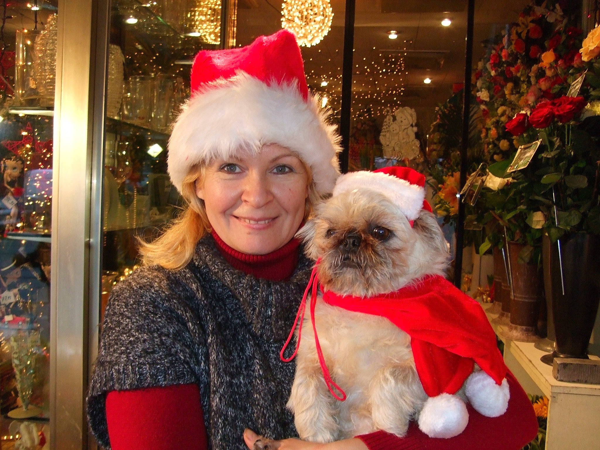 Pin-up participe au concours pour gagner de l'argent avec cette photo : bichon, canidae, carnivore, christmas, christmas_decoration, christmas_eve, christmas_tree, companion_dog, dog, dog_breed, dog_clothes, fictional_character, fur, holiday, lhasa_apso, pekingese, santa_claus, shih_tzu, toy_dog, tree