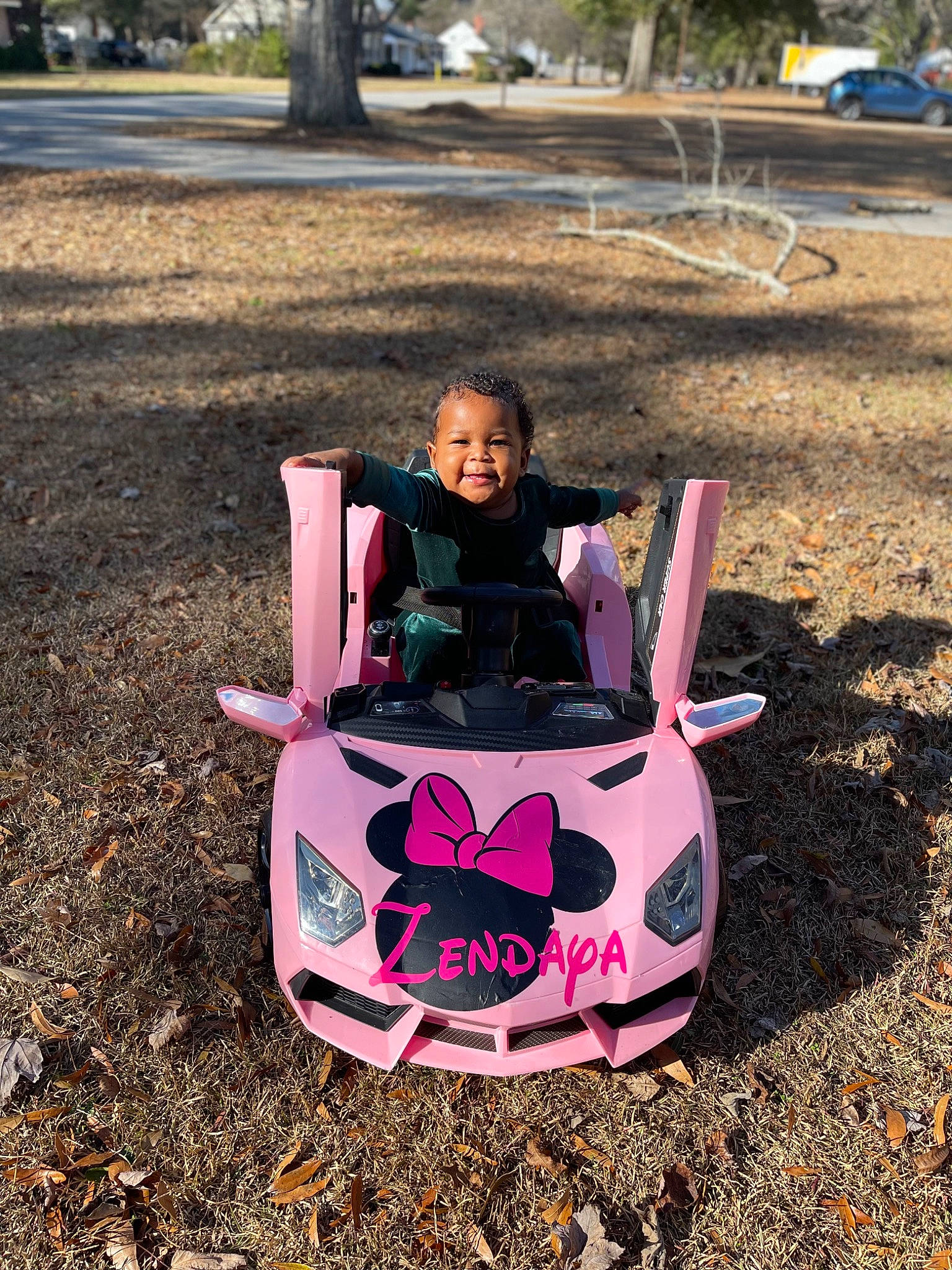 Zendaya is registered to the contest to win money with this photo: automotive_design, automotive_exterior, automotive_lighting, automotive_wheel_system, bumper, eye, eyewear, grass, hairstyle, happy, head, human_body, joy, leisure, motor_vehicle, outdoor_recreation, person, pink, plant, t_shirt