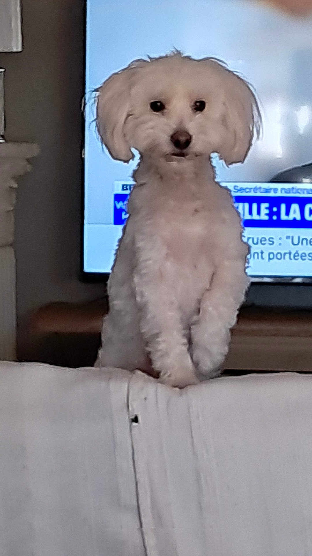 Charly
