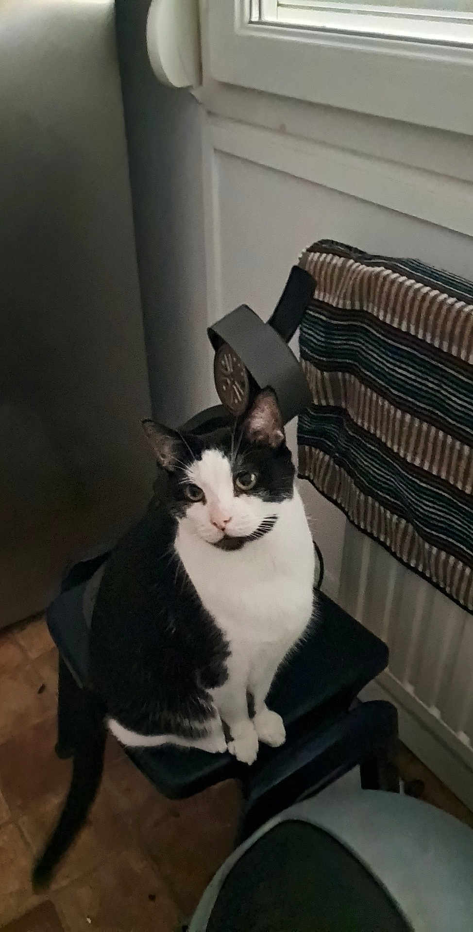 Max