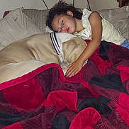 Roxas joined the competition — help win amazing prizes! child, dog, sleeping, blanket, bed, cuddle, pillow, indoor, rest, nap, comfort, friendship, relaxation, fur, curly_hair, collar, red_blanket, peaceful, human, animal