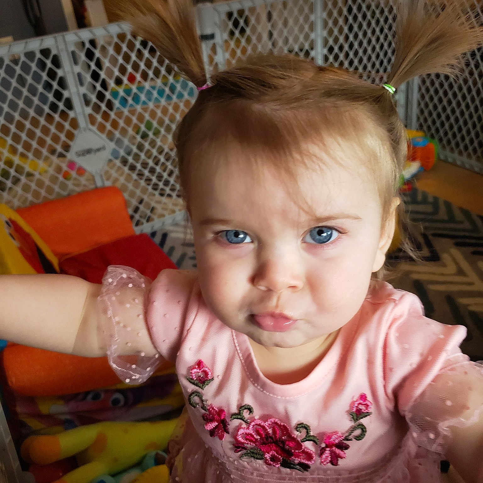Adilena is registered to the contest to win money with this photo: baby, cheek, child, ear, eye, face, forehead, head, iris, lip, nose, person, skin, smile, toddler