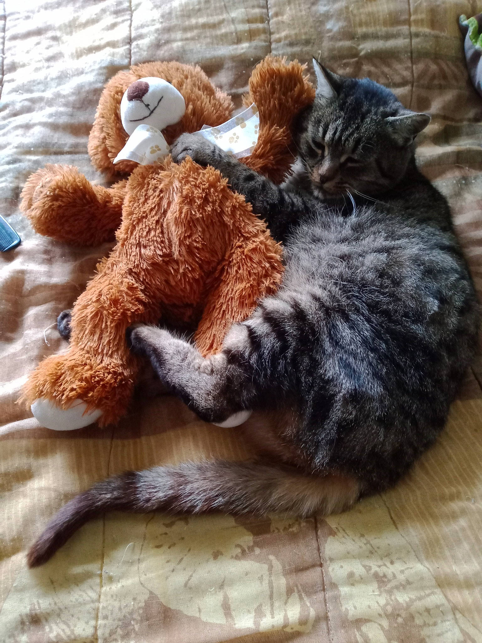 Petitona a rejoint le concours — aidez-le/la à gagner de superbes lots ! carnivore, cat, comfort, domestic_short_haired_cat, fawn, felidae, fur, mammal, small_to_medium_sized_cats, snout, stuffed_toy, tail, terrestrial_animal, thread, toy, vertebrate, whiskers, wood, wool, woolen