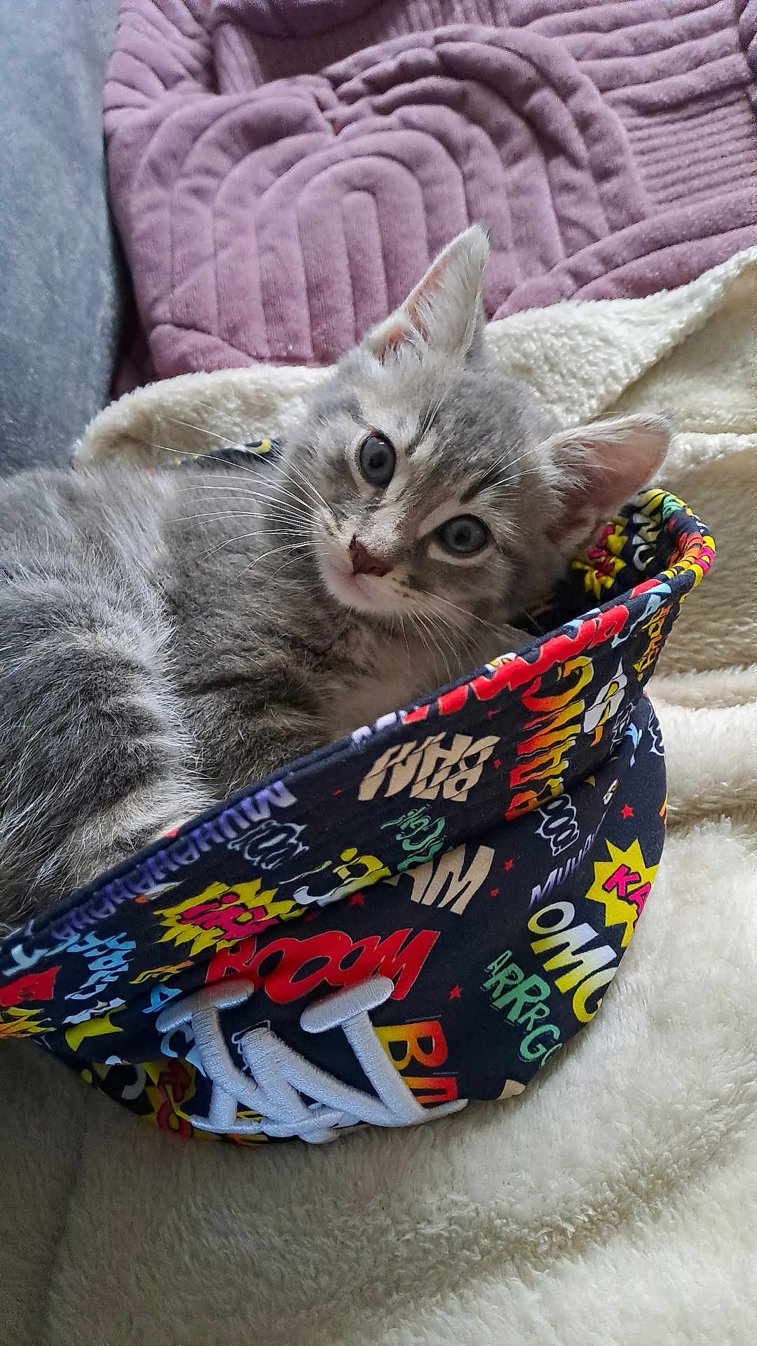 Arlo