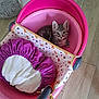 Arlo a rejoint le concours — aidez-le/la à gagner de superbes lots ! animal, cat, cozy, curious_eyes, cute, domestic_cat, fabric_liner, feline, floor, household_item, indoor, kitten, looking_up, pet, pink_bucket, playful, purple_cushion, small_cat, tabby, wooden_floor