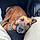 Thelma