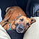 Thelma