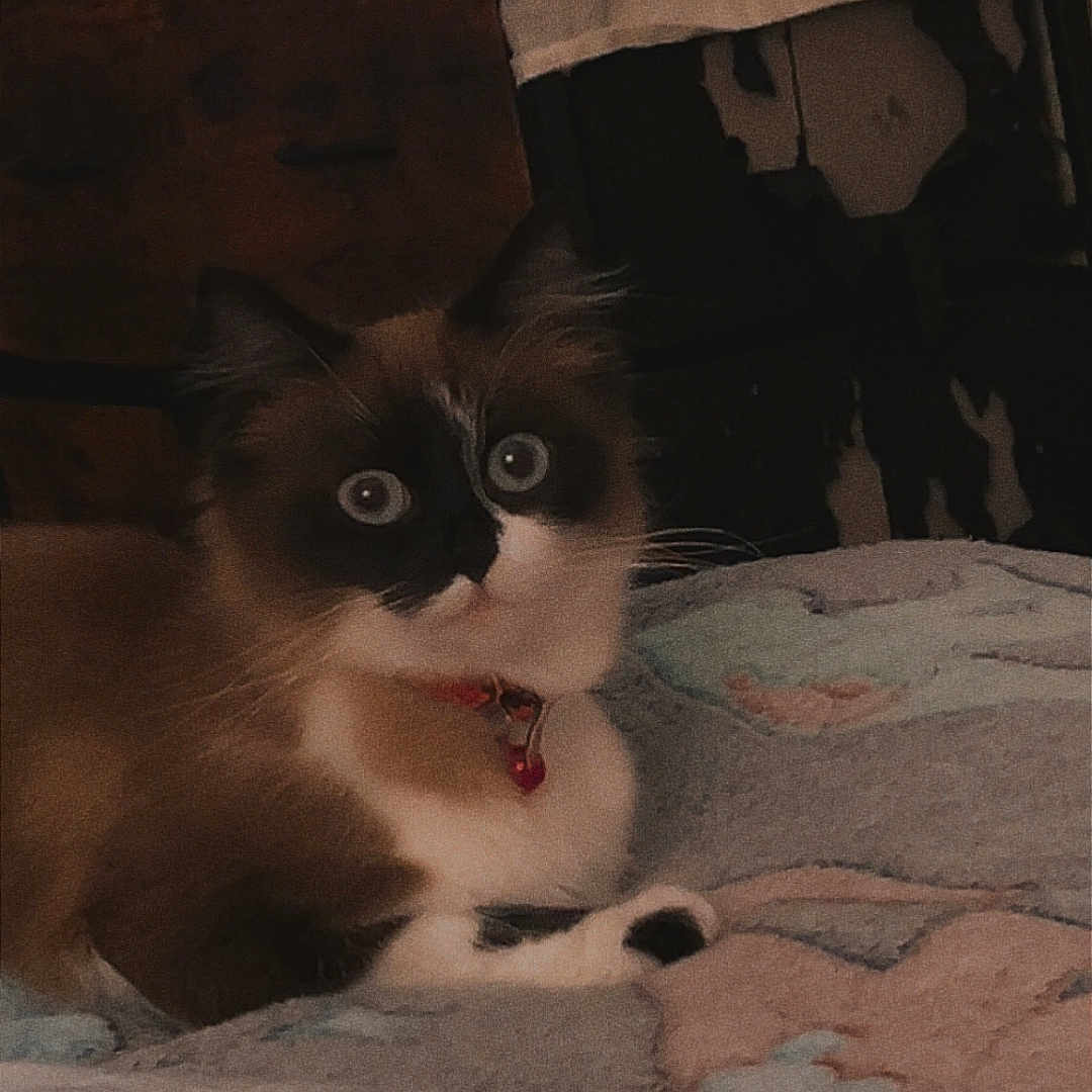 Yumi