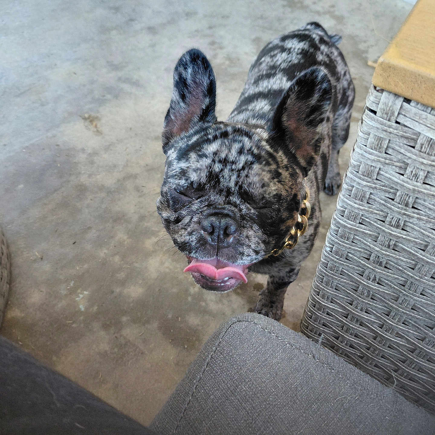 Pepper
