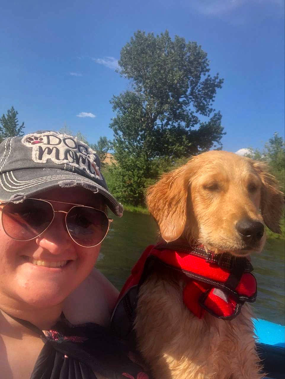 Jade joined the competition — help win amazing prizes! carnivore, cloud, collar, companion_dog, dog, dog_breed, dog_collar, eyewear, fawn, glasses, goggles, happy, hat, leisure, plant, sky, smile, sunglasses, tree, vision_care