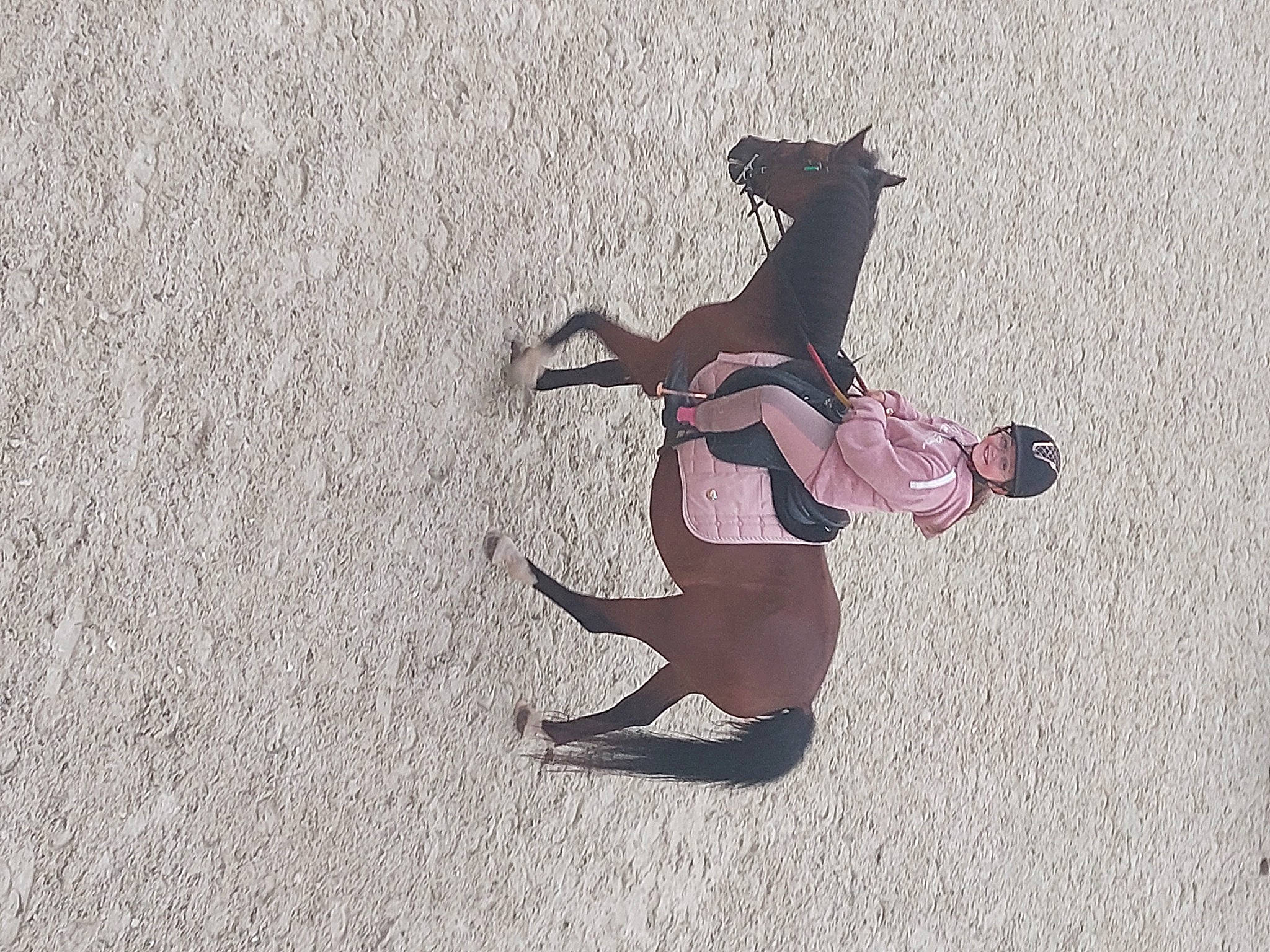 Inès a rejoint le concours — aidez-le/la à gagner de superbes lots ! art, asphalt, canidae, dog, dog_breed, fawn, fun, happy, headwear, human_leg, joy, knee, magenta, people_in_nature, person, recreation, road_surface, shadow, soil, tail