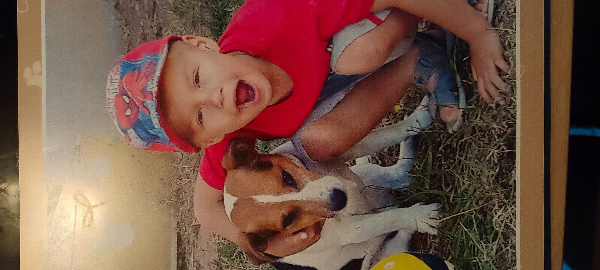 Diego Et Daika participe au concours pour gagner de l'argent avec cette photo : canidae, carnivore, child, companion_dog, dog, dog_breed, elbow, fawn, fun, grass, happy, human_leg, leisure, play, recreation, shorts, smile, sporting_group, thigh, toddler