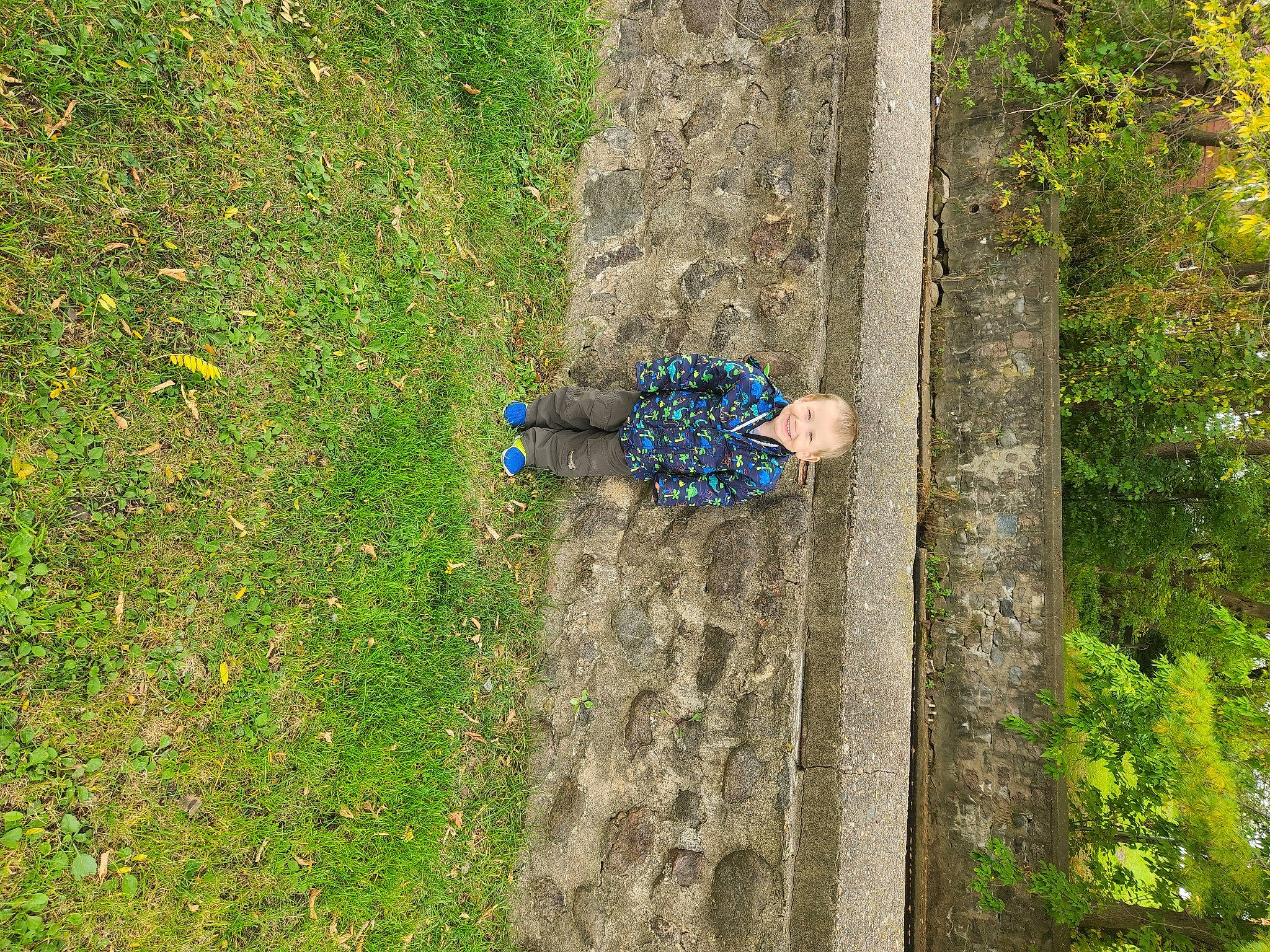 Bentlee is registered to the contest to win money with this photo: electric_blue, forest, garden, grass, grass_family, grassland, groundcover, joy, landscape, leaf, people_in_nature, person, plant, recreation, shadow, shrub, soil, toddler, tree, trunk