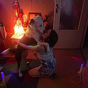 Shadow participe au concours pour gagner de l'argent avec cette photo : dog, person, indoor, lamp, hugging, carpet, door, warm_lighting, furniture, home, affection, kneeling, animal, pet, decor, shadow, colorful, floor, evening, intimate_moment