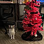 black_ornaments, cat, computer_desk, curious_cat, decorations, flooring, holiday_decor, indoor, keyboard, monitor, office_chair, ornaments, pet, pink_christmas_tree, room, shelf, technology, water_bottle, white_ornaments, wooden_floor