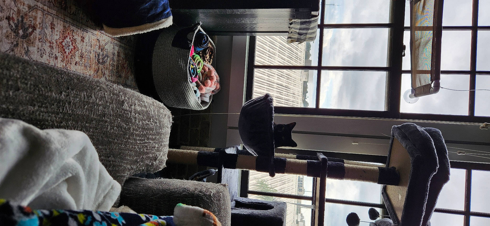 Matilda is registered to the contest to win money with this photo: comfort, couch, daylighting, flooring, glass, hat, interior_design, linens, living_room, room, window, wood