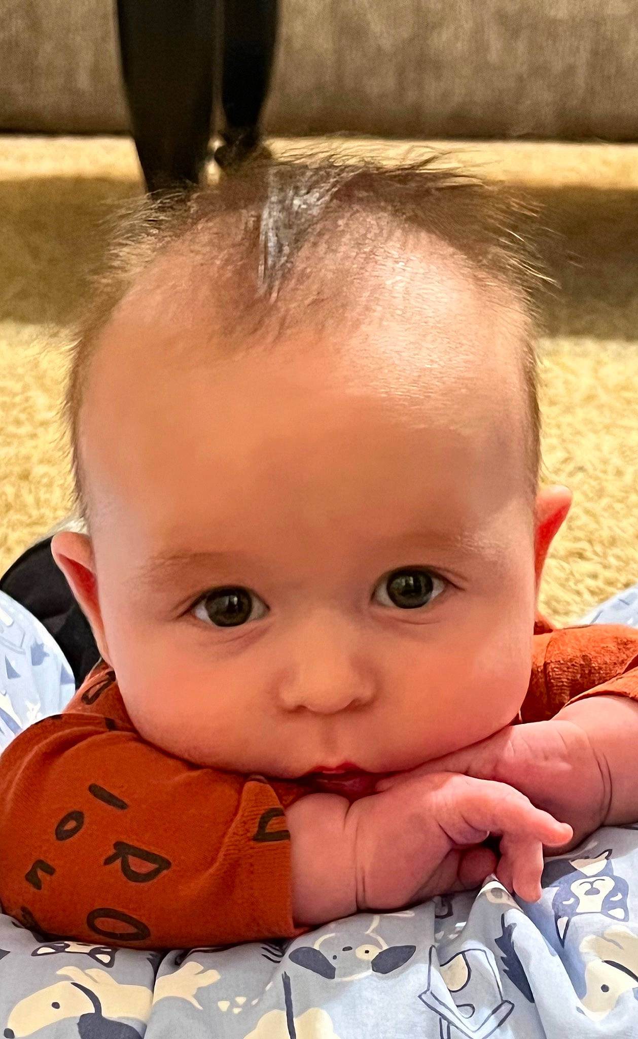 Owen is registered to the contest to win money with this photo: baby, baby_toddler_clothing, cheek, chin, ear, eye, eyebrow, eyelash, face, finger, forehead, happy, head, iris, lip, mammal, mouth, nose, person, skin