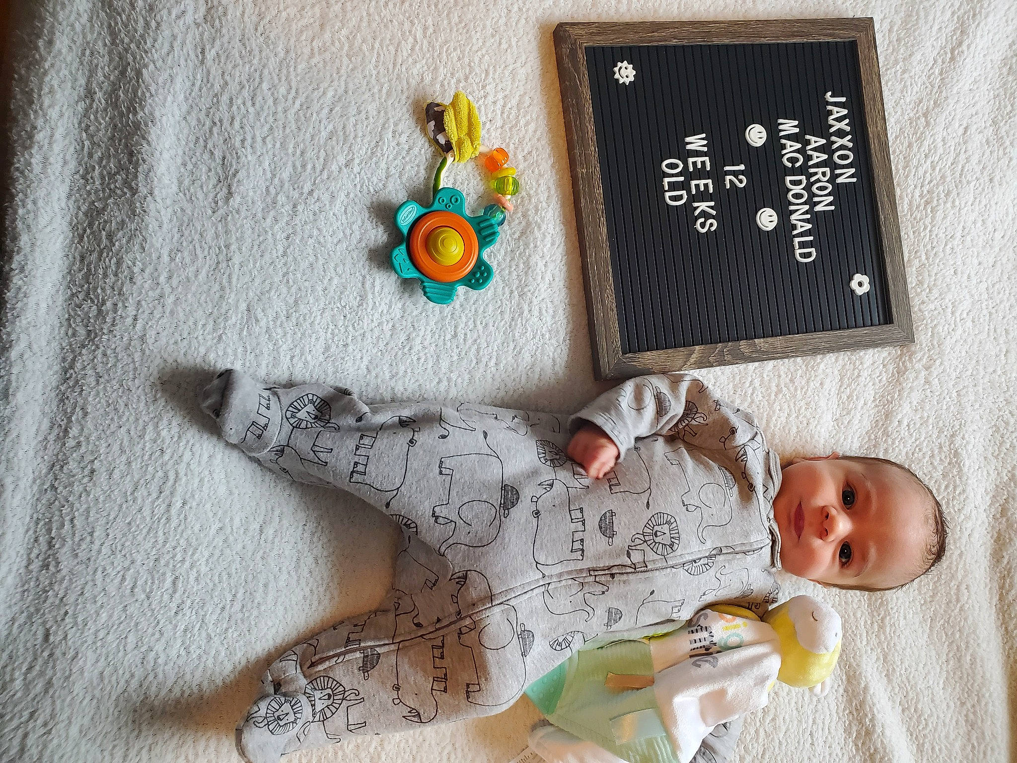 Jaxxon is registered to the contest to win money with this photo: art, baby, baby_sleeping, baby_toddler_clothing, bedding, child, comfort, font, furniture, linens, pattern, person, product, rectangle, room, sleeve, stuffed_toy, textile, toddler, toy