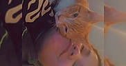 King is registered to the contest to win money with this photo: affection, animal, casual, cat, comfort, cuddle, cute, face, feline, happy, heart_emoji, indoor, love, mirror_effect, orange_cat, person, pet, portrait, relaxed, selfie