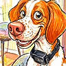 dog, cartoon, illustration, digital_art, portrait, orange_and_white, floppy_ears, large_nose, smiling, harness, indoors, room, chair, table, colorful, hand_drawn, expressive_eyes, pet, animal, text_overlay