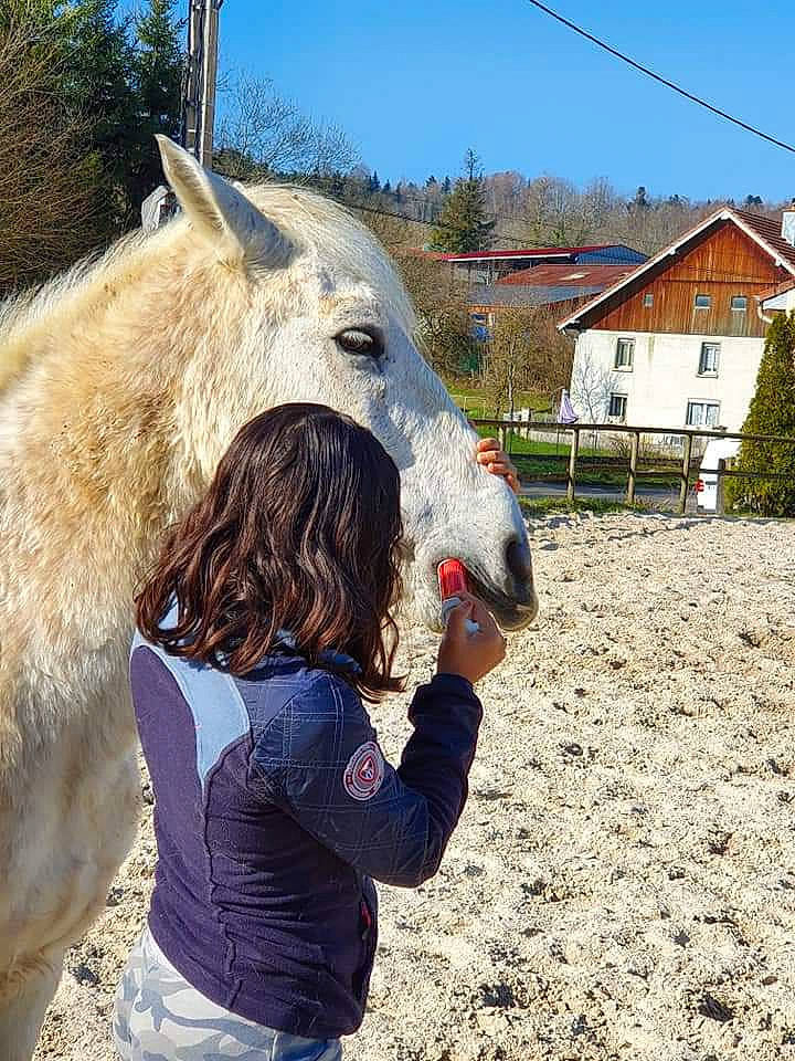 Rital a rejoint le concours — aidez-le/la à gagner de superbes lots ! bridle, burro, horse, livestock, llama, mammal, pack_animal, plant, smile, snout, vertebrate