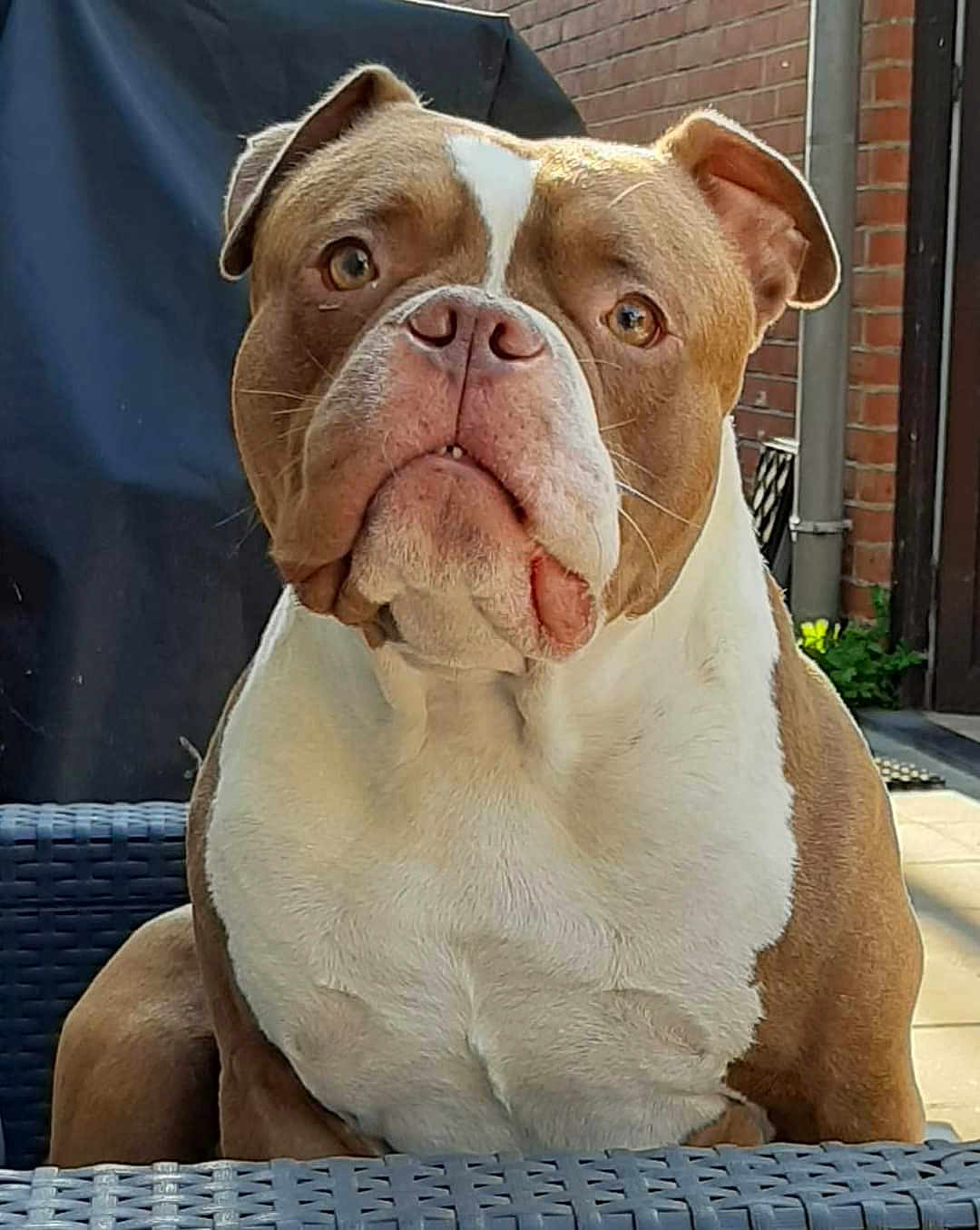 Ben