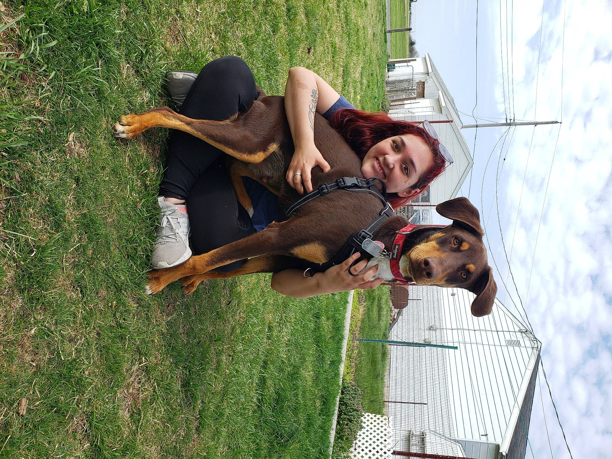 Mojo joined the competition — help win amazing prizes! dog, dog_breed, elbow, event, fun, grass, happy, leisure, mesh, people_in_nature, recreation, shorts, sky, smile, t_shirt, thigh, tree