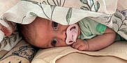 Cello is registered to the contest to win money with this photo: arm, baby, blanket, closeup, clothing, comfort, cute, eye, fabric, face, human, indoor, infant, newborn, pacifier, portrait, resting, skin, soft, tattoo