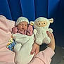 baby, blanket, blue_background, child, cozy, cute, hand, hat, indoor, knit, lamb, newborn, peaceful, person, pink_sweatshirt, plush_toy, portrait, resting, sleeping, soft
