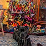animal, black_dog, carpet, christmas_lights, christmas_tree, decorations, dog, festive, furniture, holiday, holiday_decor, home, indoor, ornaments, pet, relaxed, rope_toy, rug, toy, warm_lighting