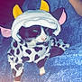 Tuxi is registered to the contest to win money with this photo: animal, architecture, blanket, building, canine, cat, dog, electronics, face, head, mobilephone, outdoors, person, pet, phone, photography, portrait, puppy, shelter, towel