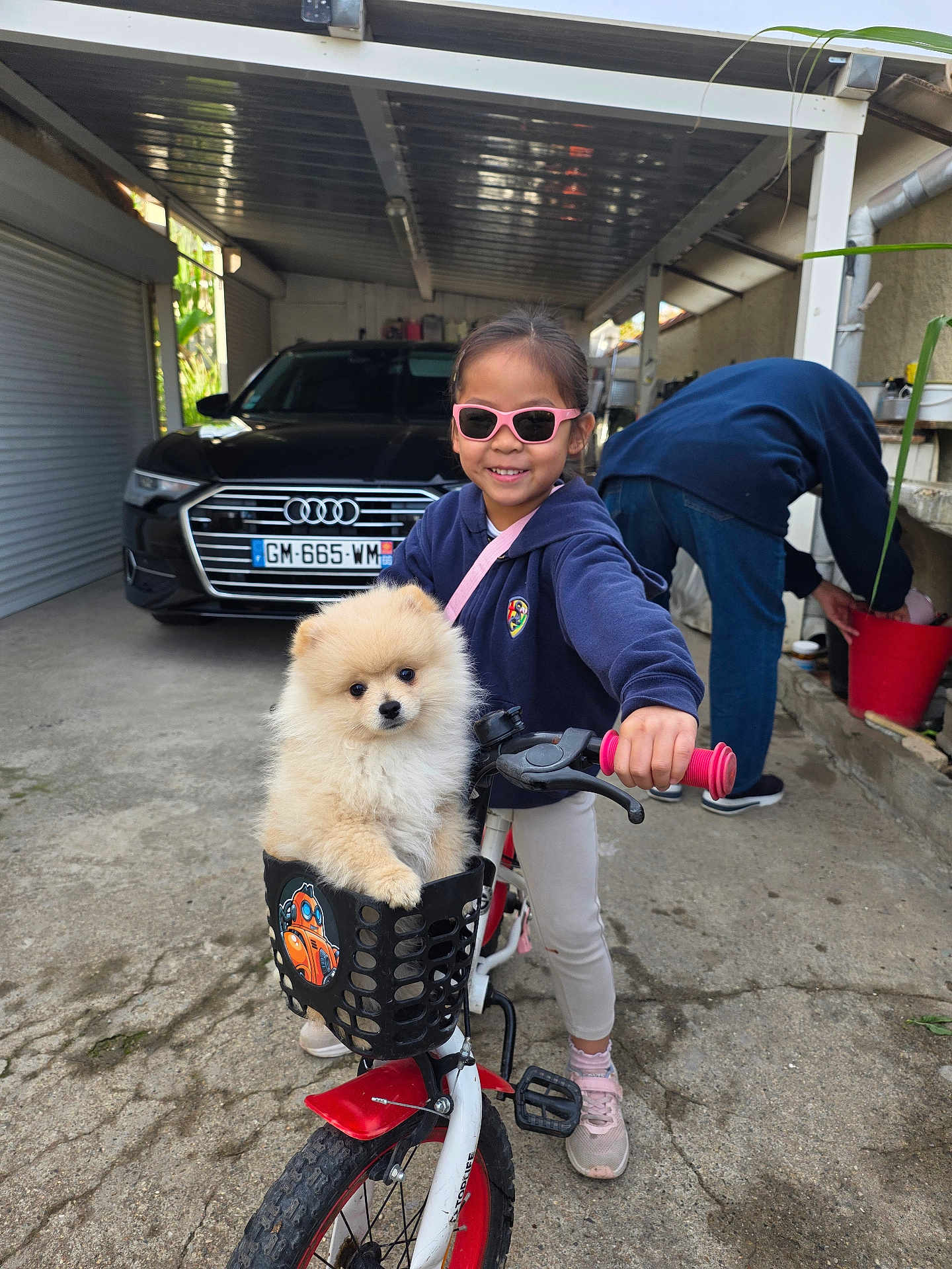 Yuki participe au concours pour gagner de l'argent avec cette photo : child, dog, puppy, bicycle, basket, sunglasses, person, car, audi, garage, outdoor, concrete, clothing, footwear, pet, happy, smile, toy, plant, casual