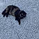 Miss Kitty