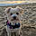 Mady