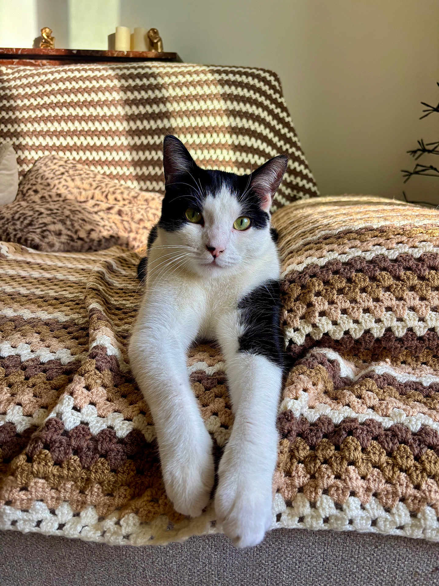 Bambou participe au concours pour gagner de l'argent avec cette photo : cat, black_and_white_cat, pet, animal, feline, stretching, crocheted_blanket, striped_blanket, cozy, indoor, living_room, couch, pillow, relaxed, close_up, fur, whiskers, soft_light, home, comfortable